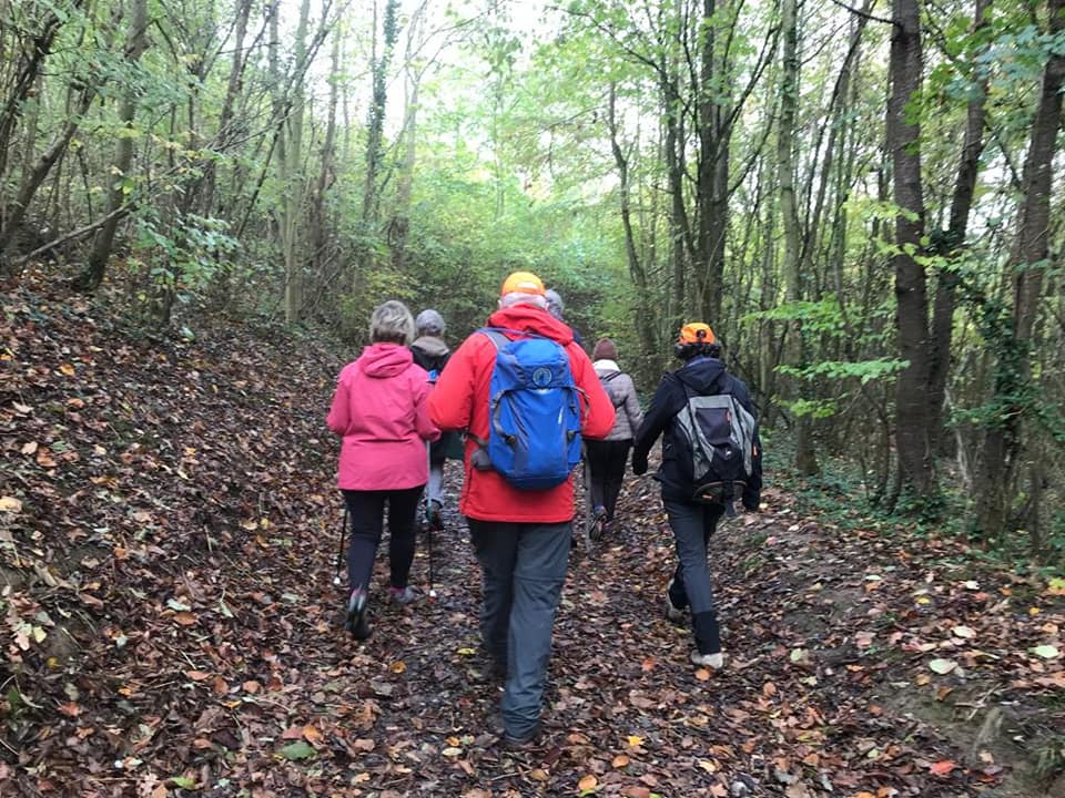 Nous proposons des randos faciles et plaisantes